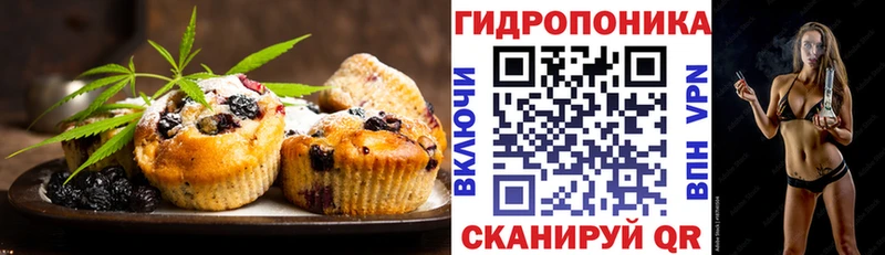 Canna-Cookies конопля  цена   Мурино 